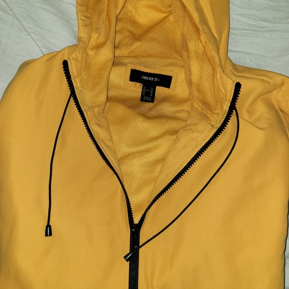 Yellow jacket - Picture 2 of 6